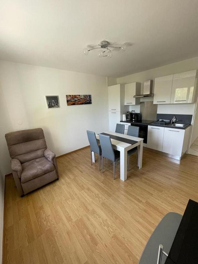 Appartement Le Domaine Des Libellules Proche Walibi Corbelin Екстер'єр фото